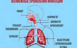Ларингит или бронхит?
