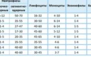Лейкоцитоз у 6 месячного ребенка