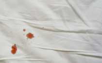 Кровь девственницы