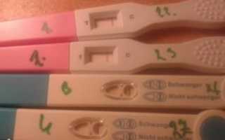 Болят соски за неделю до месячных