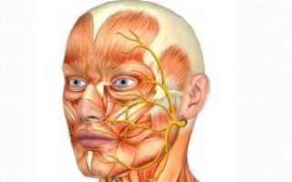 Болит кость лица