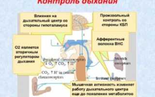 Как перестать контролировать дыхание