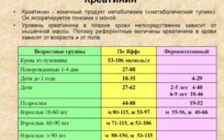 Креатинин 120 — стоит ли переживать