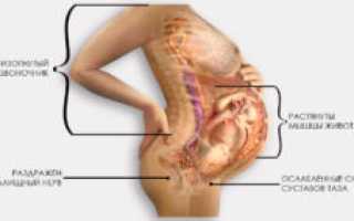 Боль в лобке 18 недель беременности