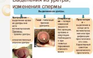 Кровянистые выделения из головки при лечении уреаплазмы