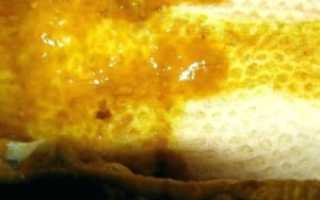 Кал перемешан со слизью