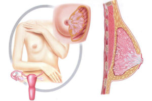 Болит грудь при прикосновении