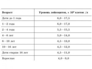 Лейкоцитоз у 6 месячного ребенка