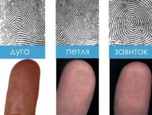 Линии на подушечках пальцев