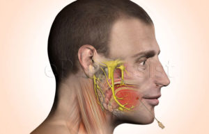 Болит кость лица