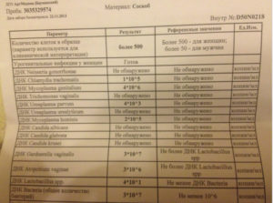 Мазок на зппп и начало цикла