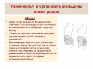 Изменения в теле после родов
