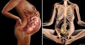 Боль в лобке 18 недель беременности