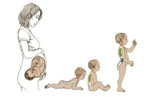 Хруст позвоночника у трехмесячного ребенка