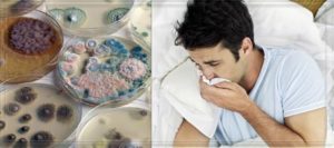 Лактожиналь и пищевое отравление