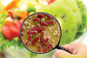 Лактожиналь и пищевое отравление