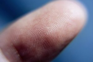 Линии на подушечках пальцев