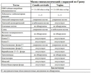 Мазок на зппп и начало цикла