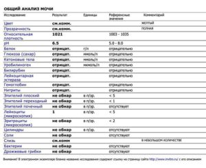 Лейкоциты в моче повышены